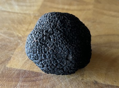 Black Truffle Second Class (Pre-Order)